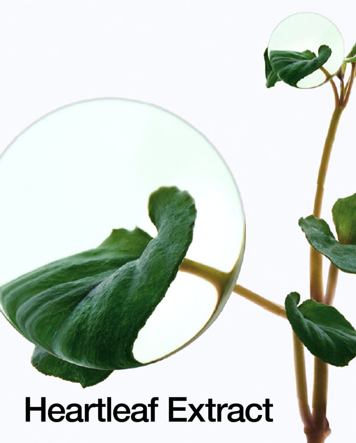 heart leaf extract leaves view 
